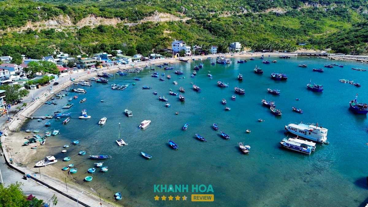 Bến tàu đáy kính ngắm san hô Vịnh Vĩnh Hy – hình ảnh 2