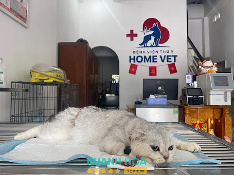 Bệnh viện Thú y Home Vet: 402 Đường 2/4, P. Bắc Nha Trang