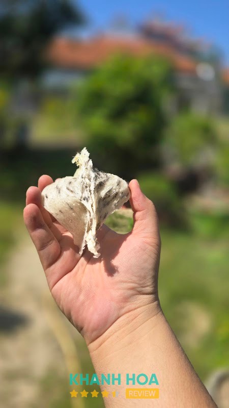 Yến sào Lidanest hình ảnh 2
