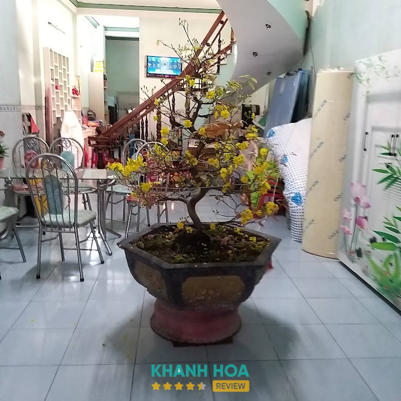 Đại Lý Nệm Hòa Hiệp hình ảnh 2