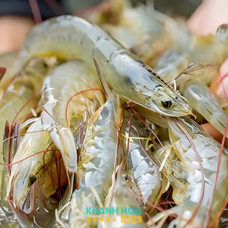 Anfood Nha Trang – hình ảnh 2