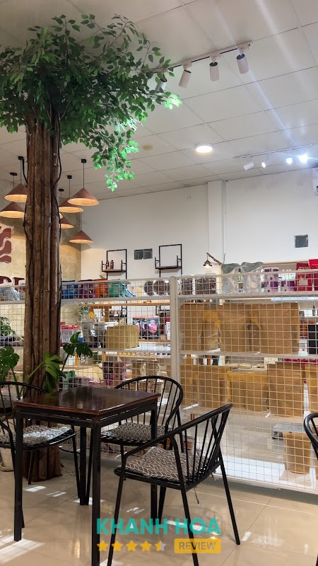 Nâu Deli – hình ảnh 2