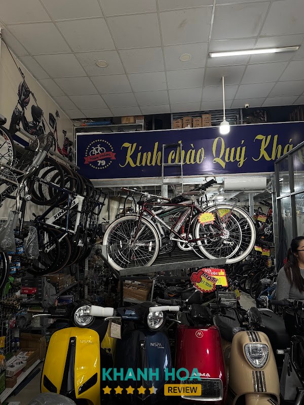 Xe Đạp Xe Điện Toàn Thắng 79 – hình ảnh 2