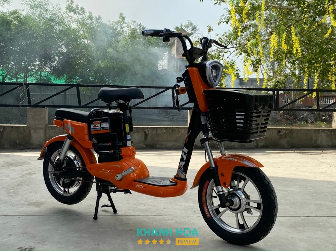 Xe Đạp Xe Điện Toàn Thắng 79 – hình ảnh 3