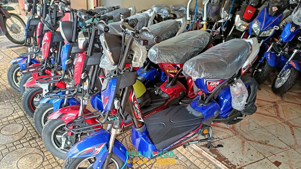 Xe Điện Hoàng hình ảnh thực tế 2