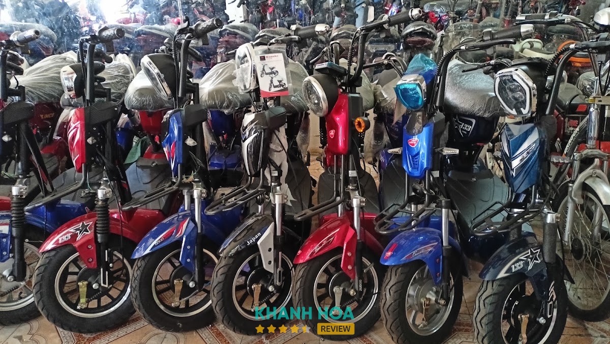 Xe Điện Hoàng hình ảnh thực tế 3