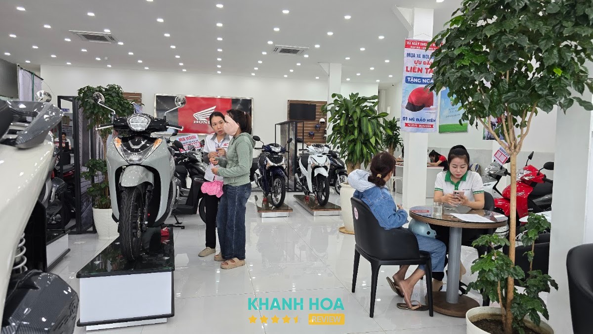 HEAD Thuận Phát – hình ảnh 3