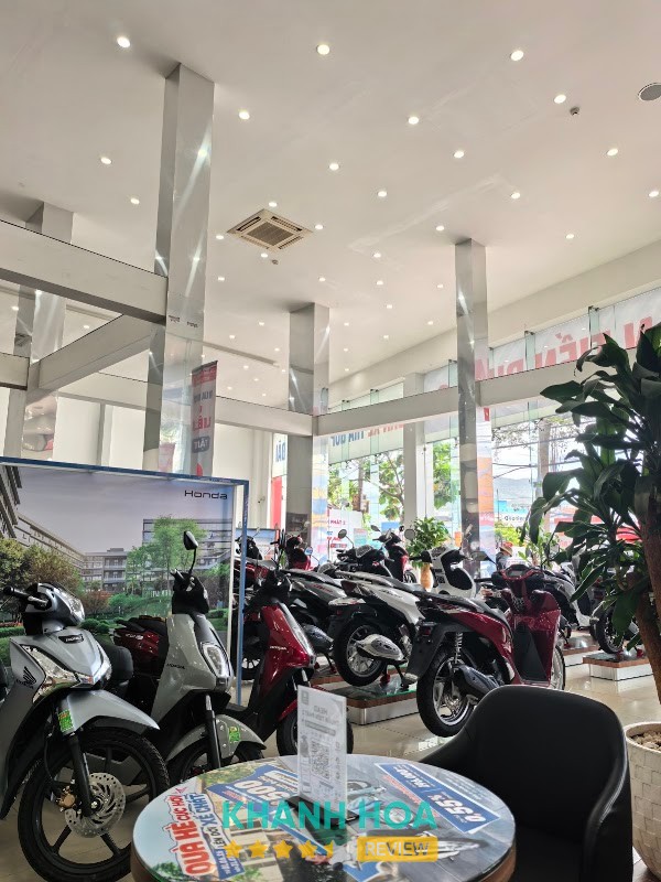 HEAD Thuận Tiến Phát 2 Nam Nha Trang