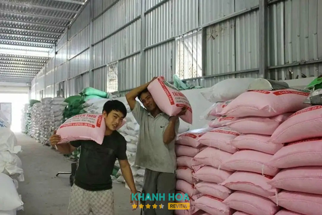 Đại Lý Gạo Hùng Sam – hình ảnh 2