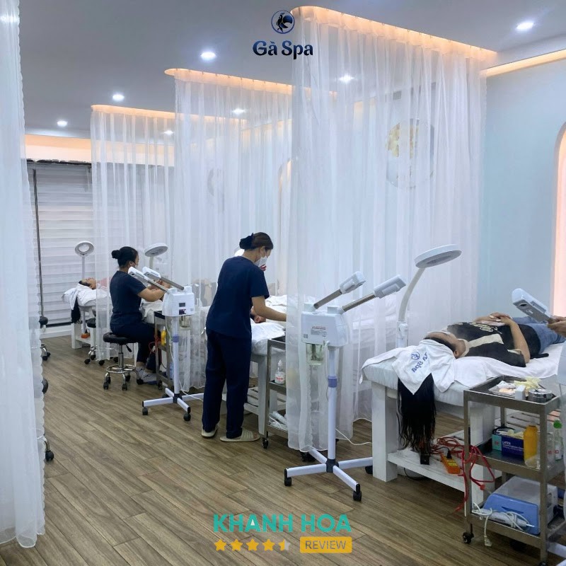 Gà Spa Nha Trang – hình ảnh 2