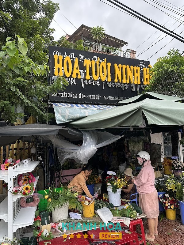 Hoa Tươi Ninh Hòa