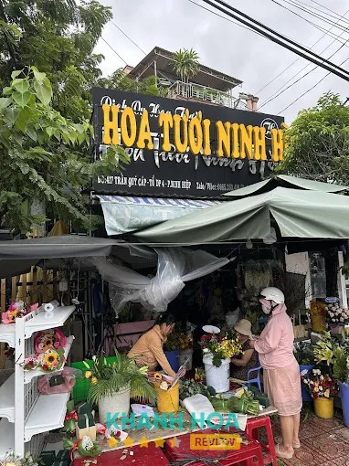 Hoa Tươi Ninh Hòa - 417 Trần Quý Cáp