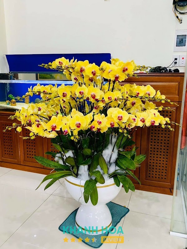 Shop Hoa Tươi Ninh Hòa - hình ảnh 3