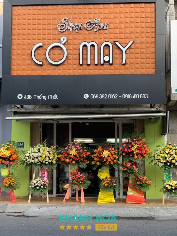 Shop Hoa Cỏ May Phan Rang