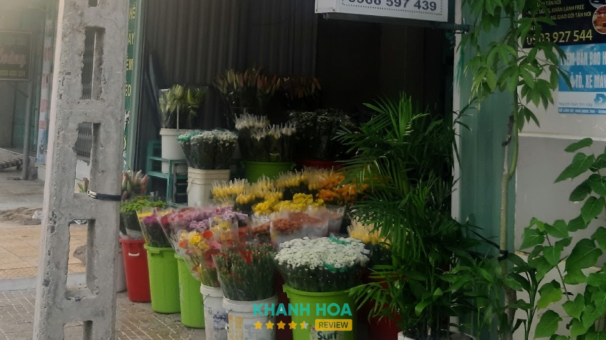 Shop Hoa Vũ – hình ảnh 2