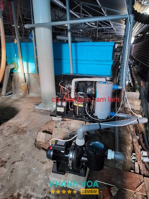 Điện Lạnh Cam Lâm – hình ảnh 3