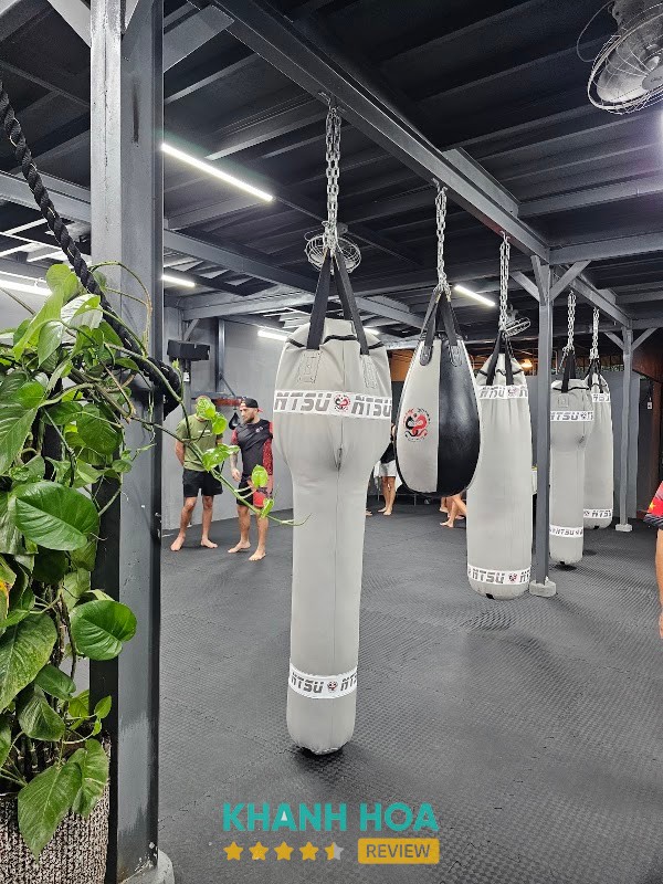 NT SPORT UNITE | boxing, mma, Jiu-Jitsu, kick-boxing – hình ảnh 2