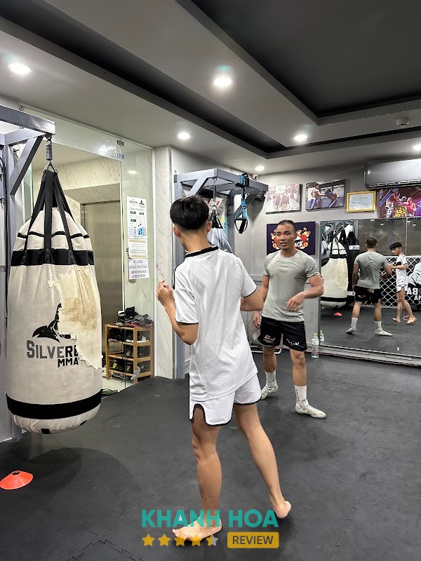 Không gian tập luyện tại SILVERBACK MMA HQ