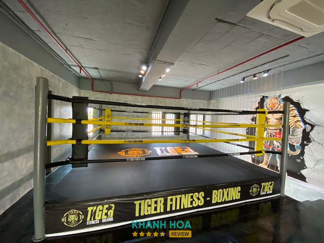 Tiger Fitness & Boxing Nha Trang – hình ảnh 3