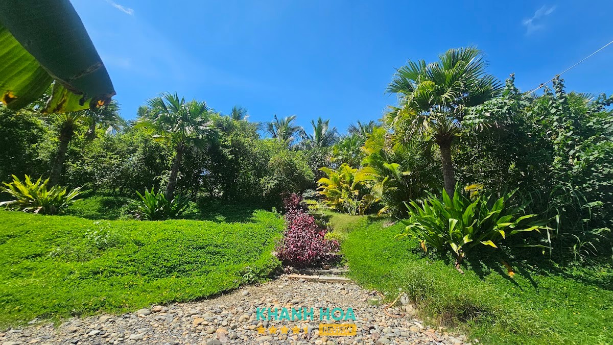 ANVIE - Cho thuê áo dài Nha Trang – hình ảnh 3