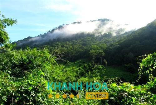 Vườn quốc gia Phước Bình – hình ảnh 2