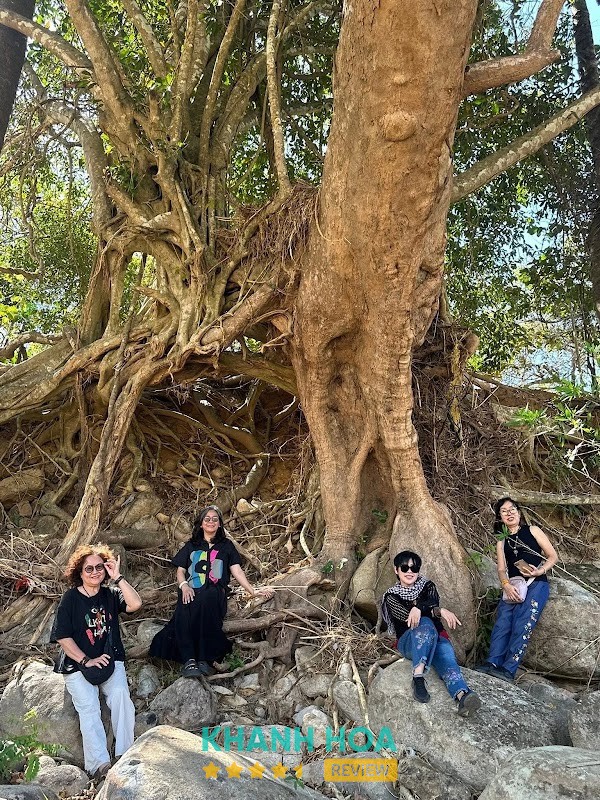 Phước Bình Glamping – hình ảnh 2