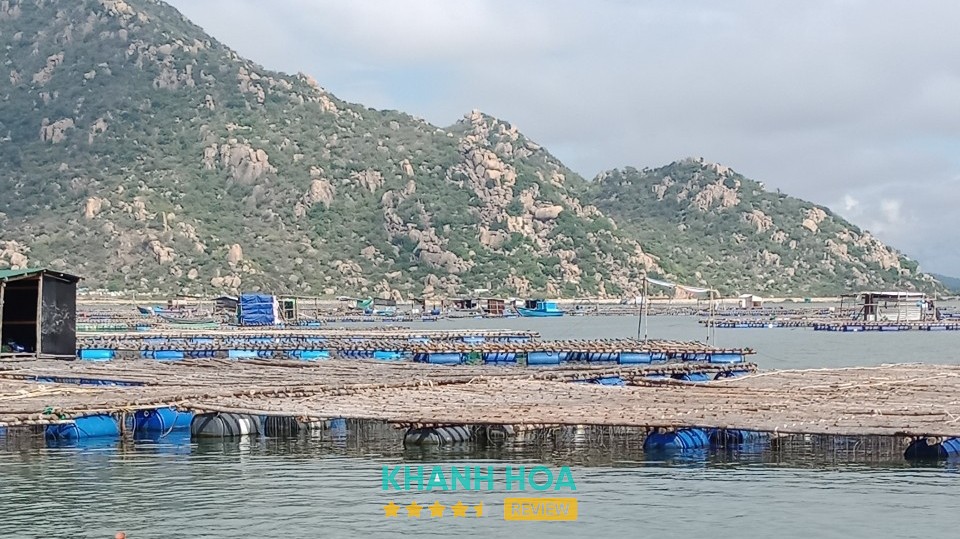 Chợ Cá Làng Nại – hình ảnh 2