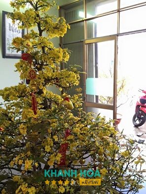 Cầm Đồ Hải Quang Khánh Hòa