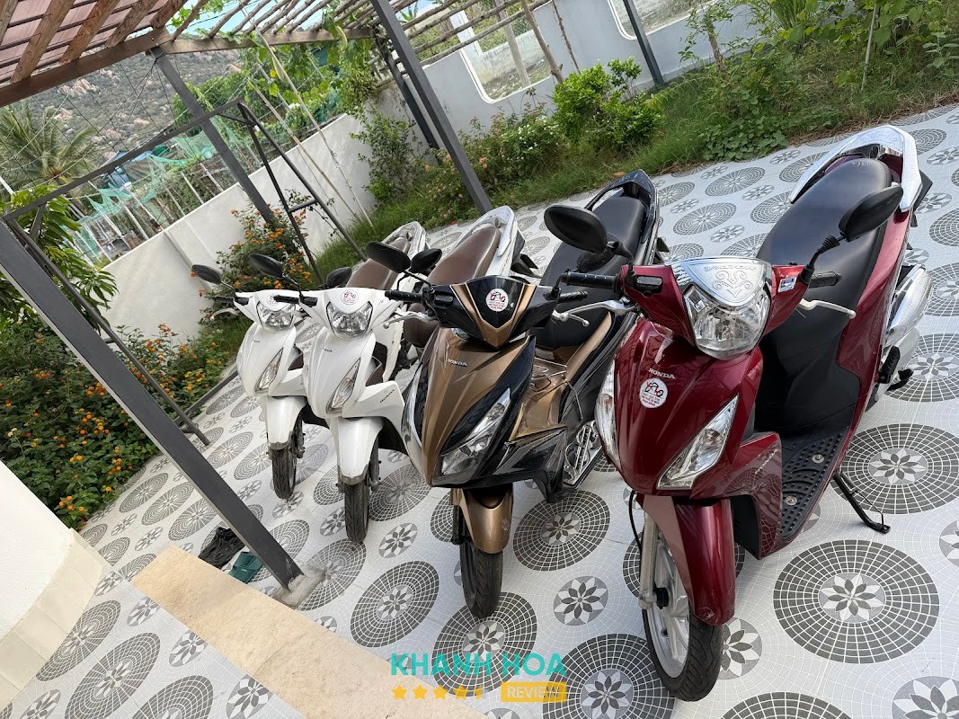 Motorbike rental Phan Rang - YOLO – hình ảnh 3