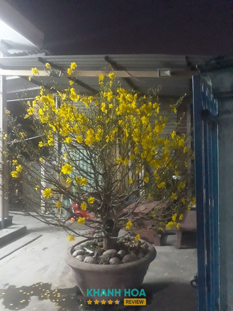 Garage ô tô Quốc Tuấn – hình ảnh 3