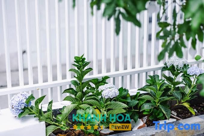 Villa De Doc Let Homestay - hình ảnh 1