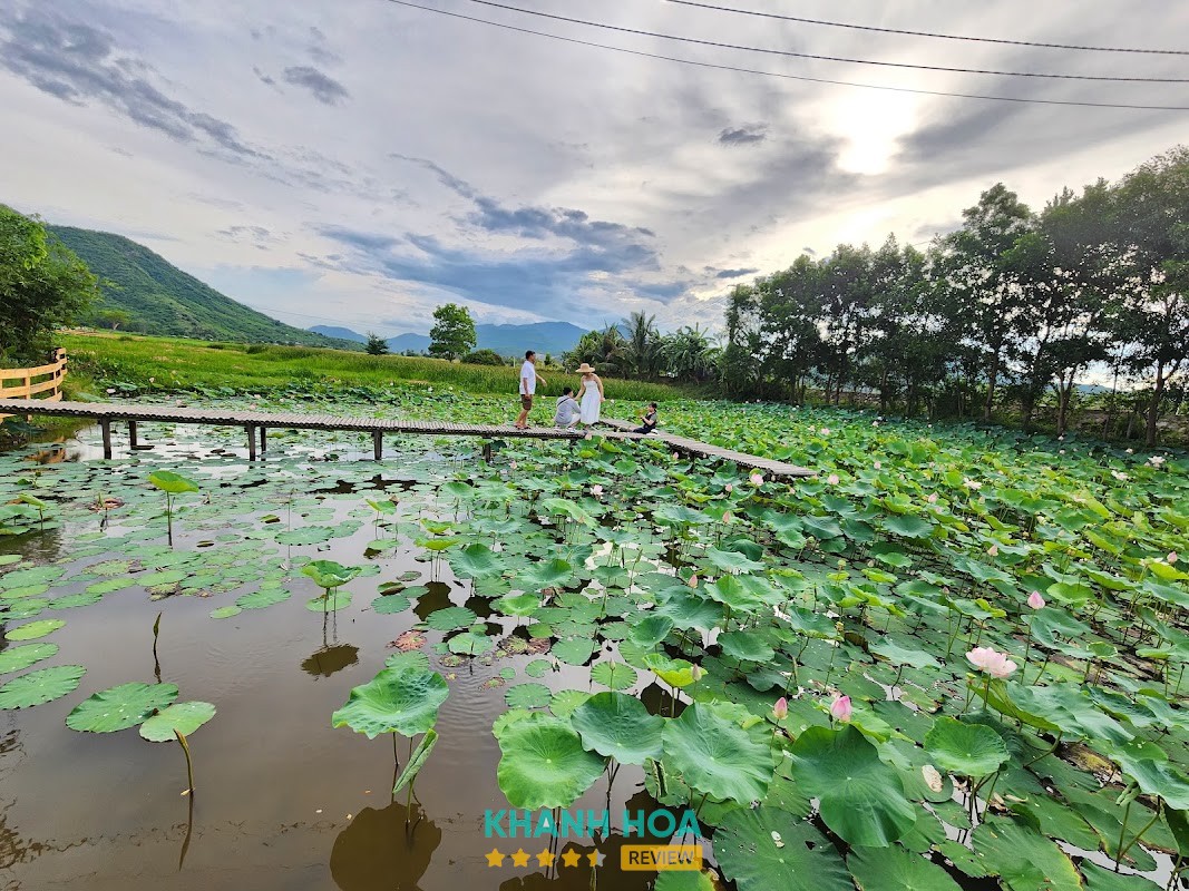 Đồng Cừu Suối Tiên – hình ảnh 3