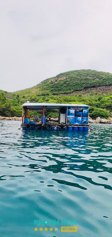 Lặn Biển Bình Hưng – hình ảnh 3