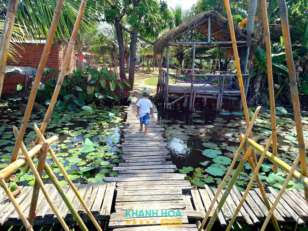 Sen Caraih – hình ảnh 3