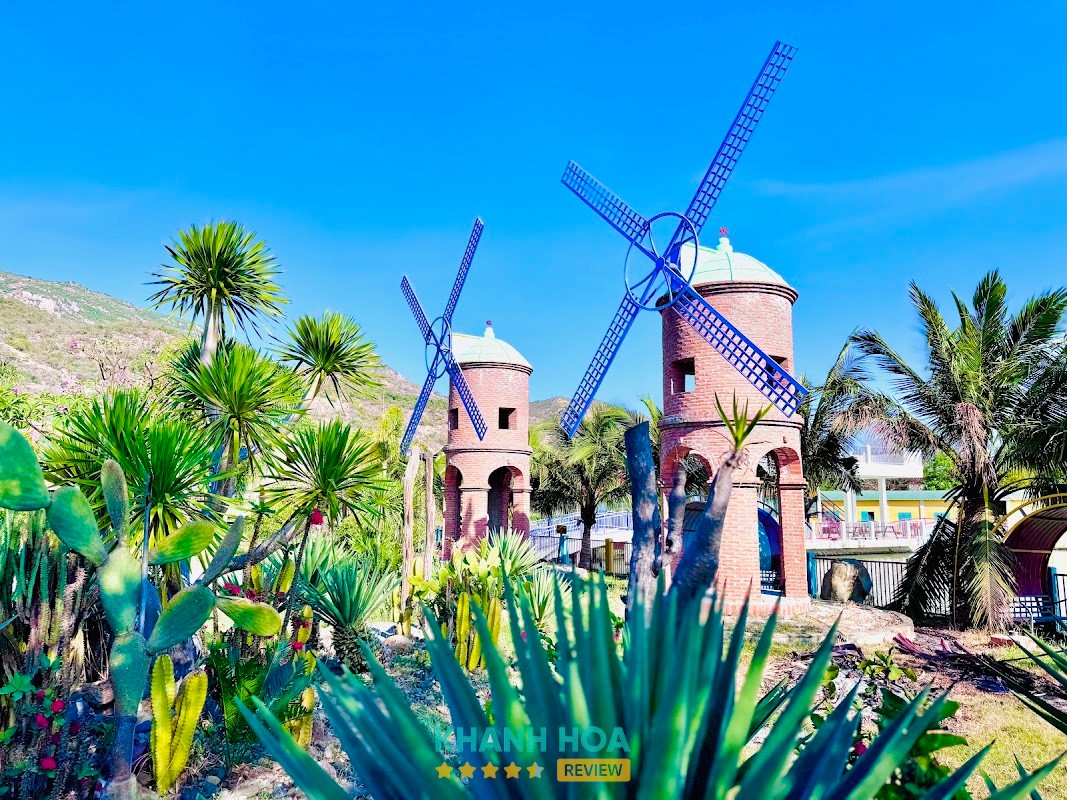 Thảo Nguyên Sao Farm – hình ảnh 3