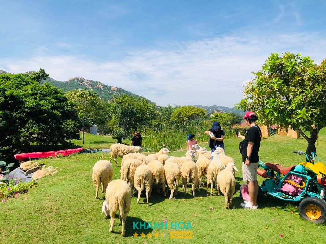 Du Lịch Trải Nghiệm Tanyoli