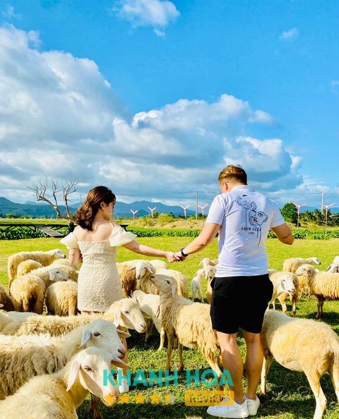 Đồng Cừu Suối Tiên – hình ảnh 2