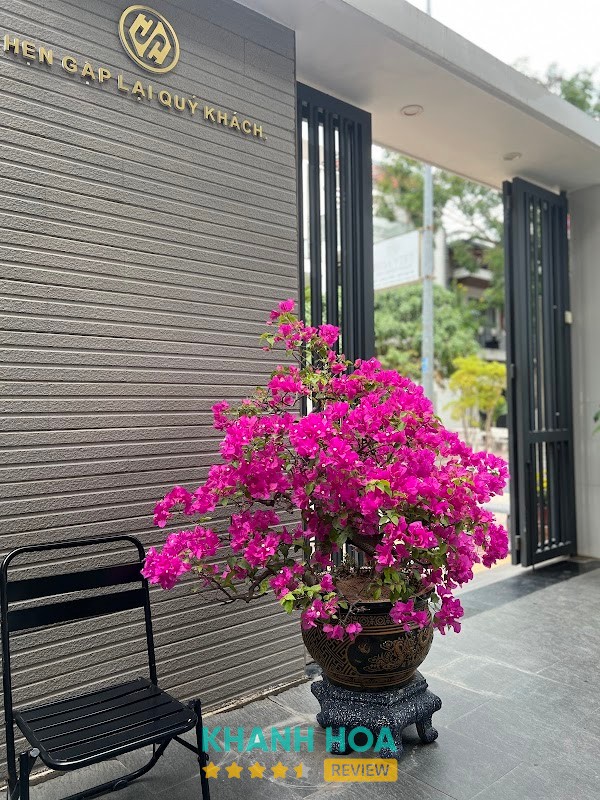 Hoa Viet Hair Beauty Salon K1 – 09 Đường Thế Lữ, Khu đông bắc K1, Phan Rang, Khánh Hòa, Việt Nam hình ảnh 3