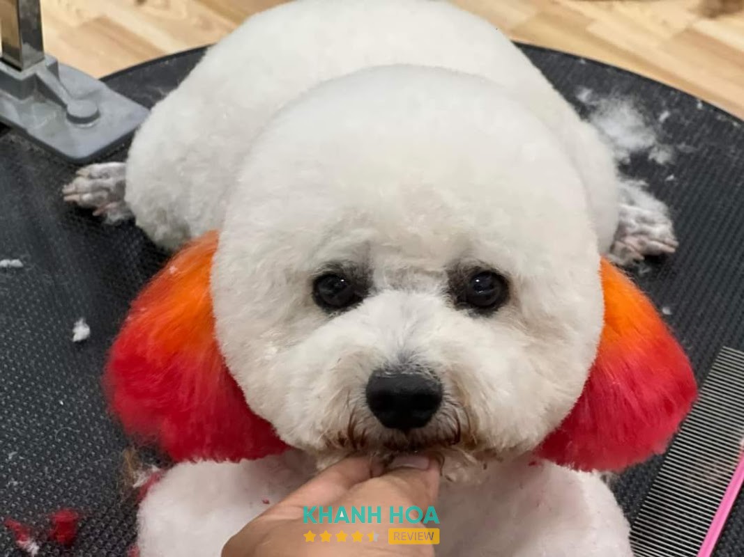 Happy Pet's Shop – hình ảnh 2