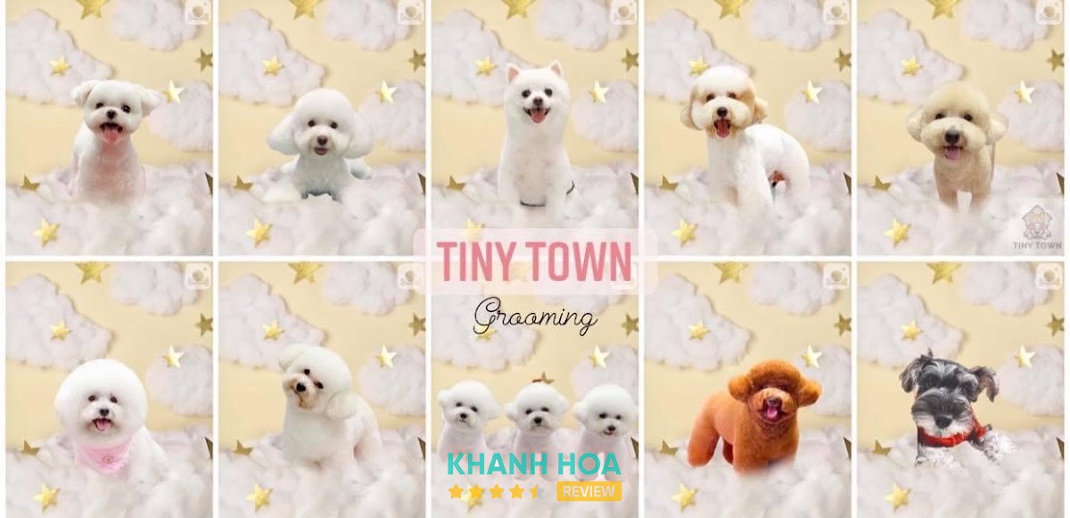 Tiệm Chăm Sóc Thú Cưng Tiny Town Nha Trang