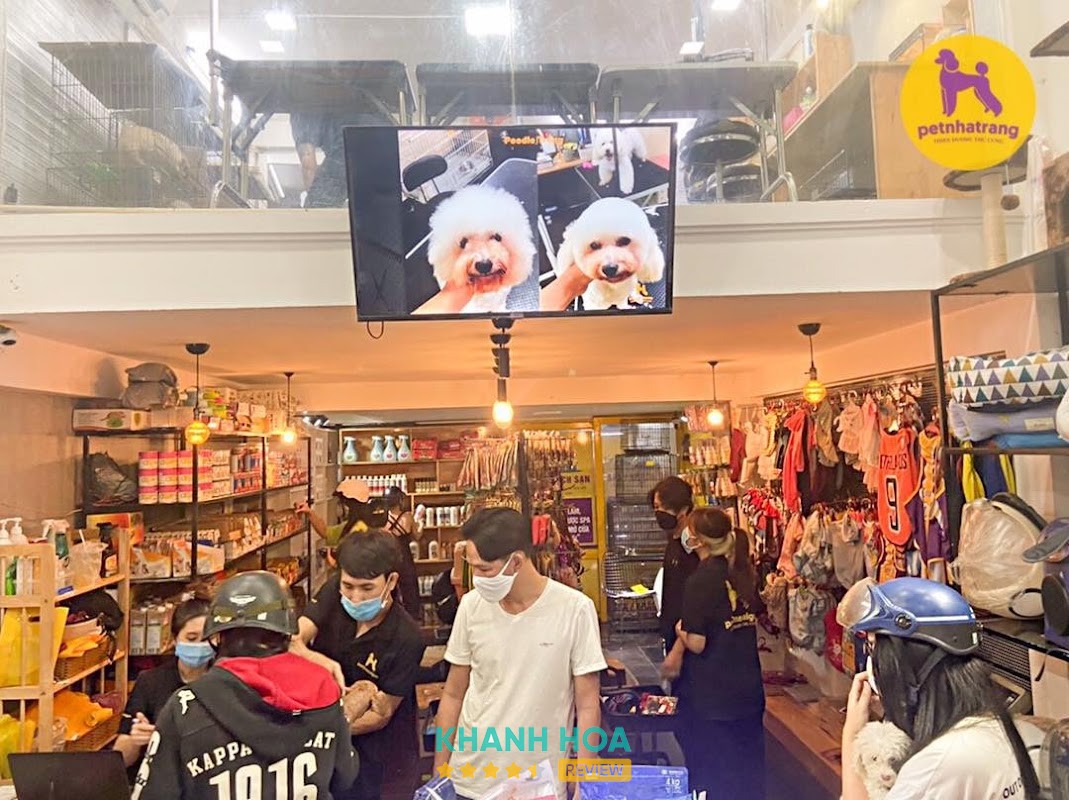 Pet Nha Trang – hình ảnh 2