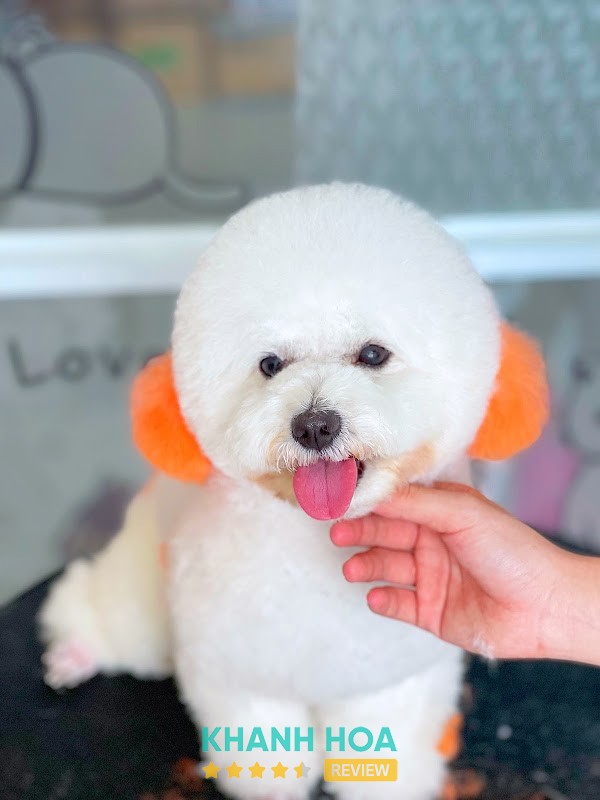 Puppy House Phan Rang