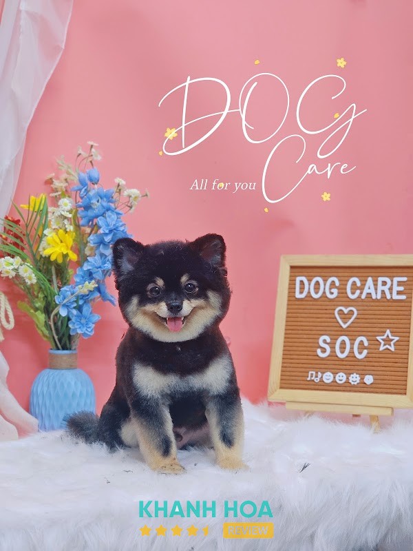 Dog Care – hình ảnh 2