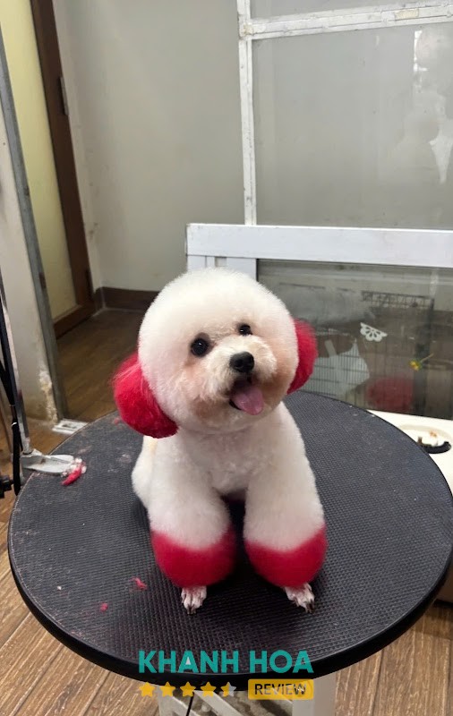 Phòng khám thú y Pet Heart – ảnh 2