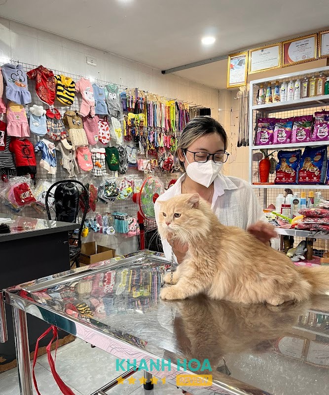 Phòng Khám Thú Y Phượng Yến Vet - ảnh 2
