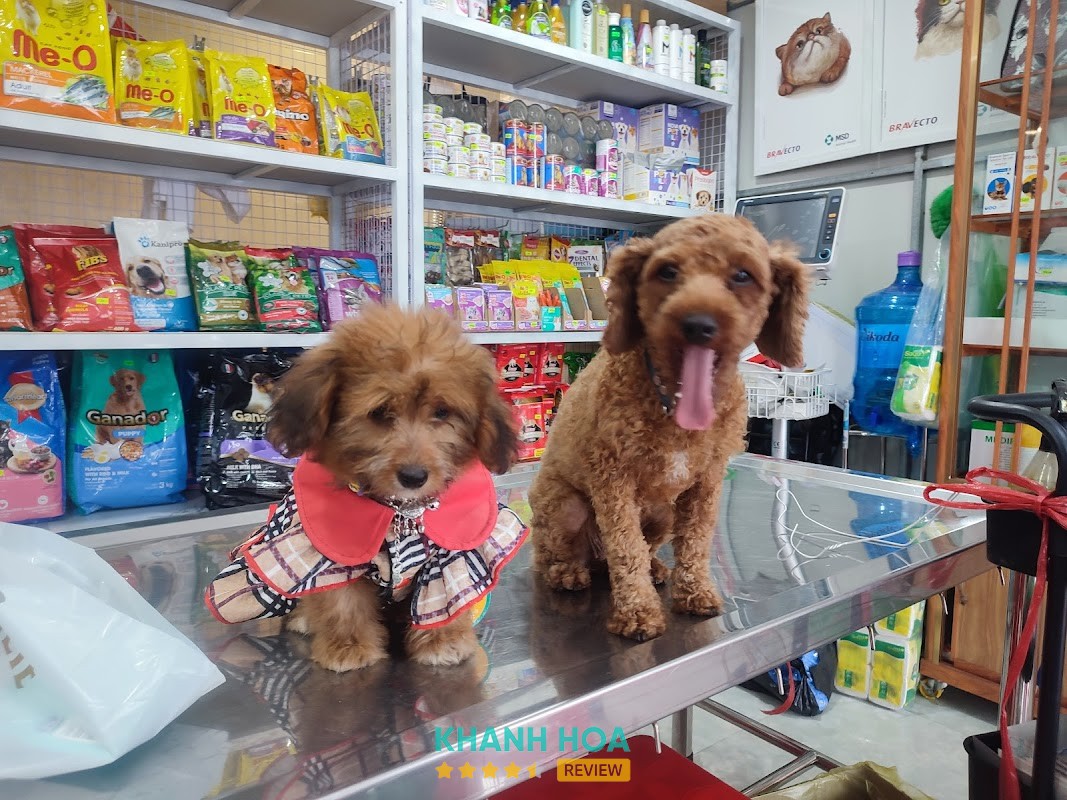 Phòng Khám Thú Y Phượng Yến Vet - ảnh 3