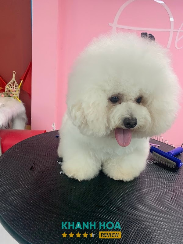 Phòng Khám Thú Y Pet Cưng Hồng Tuận - ảnh 2