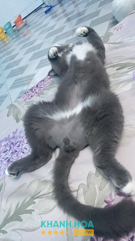 Phòng khám Thú y Tiny Vet Phan Rang