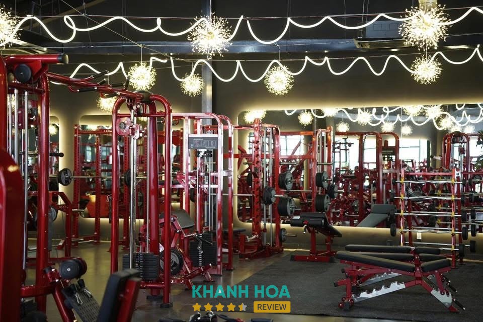 Thổ GYM – hình ảnh 2