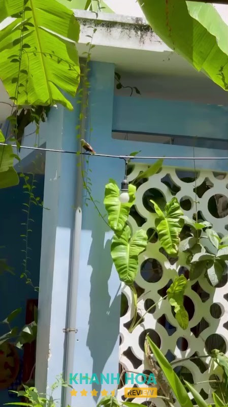 Xóm Thương Yoga & Wellness – hình ảnh 2